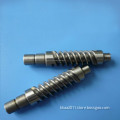 Stainless Steel Custom Machined Worm Gear Screw Shaft